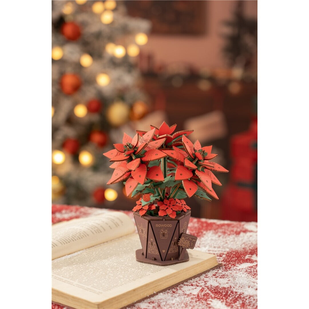 Poinsettia