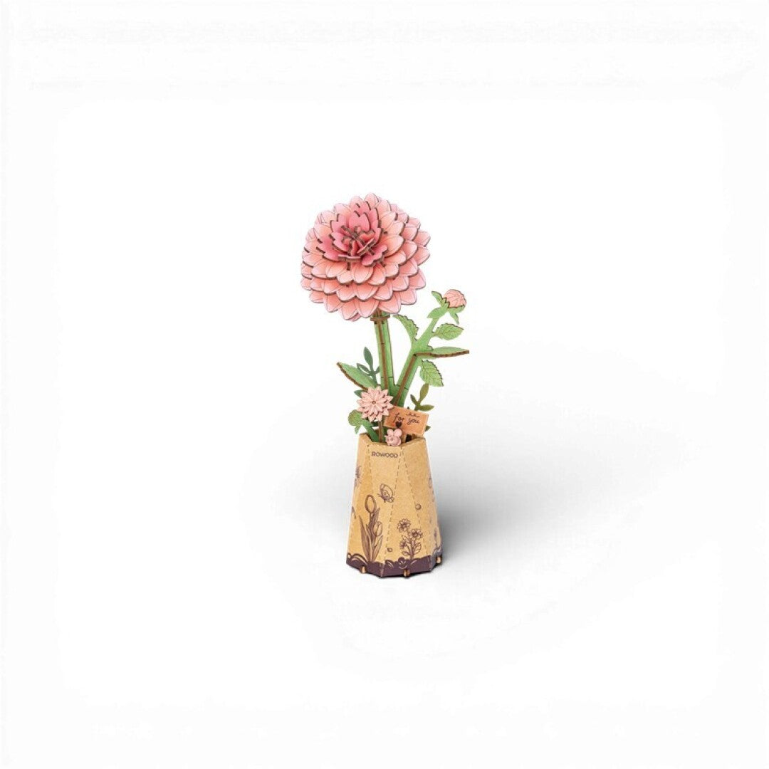 Pink Dahlia