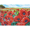 Red Poppy Field