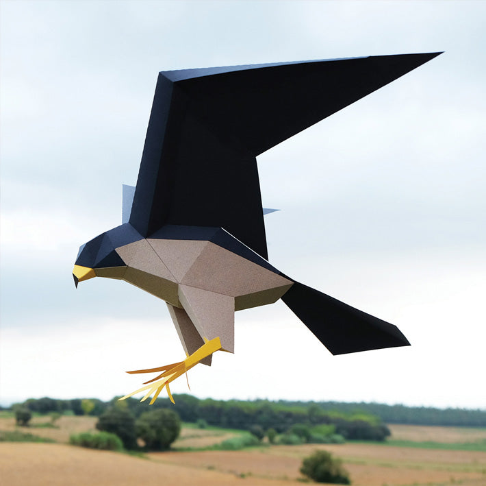 halcon peregrino