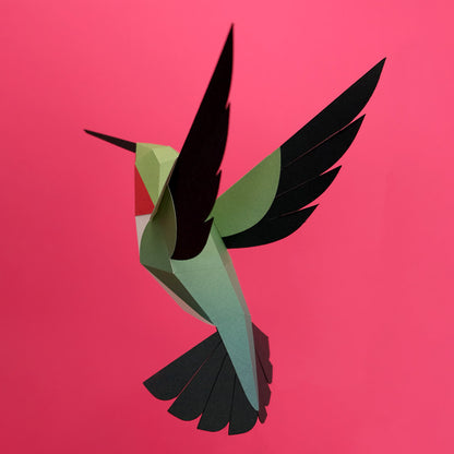 colibri