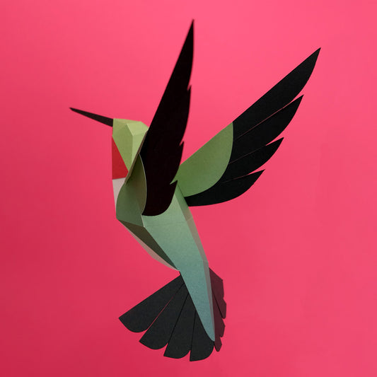 colibri
