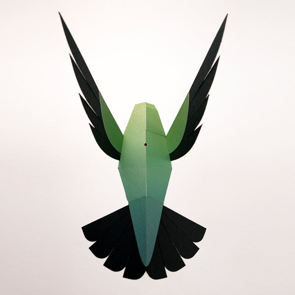colibri