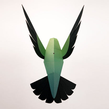 colibri
