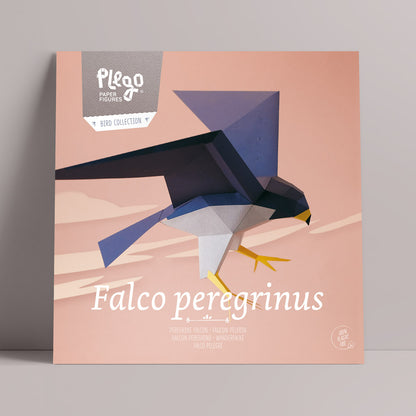 halcon peregrino