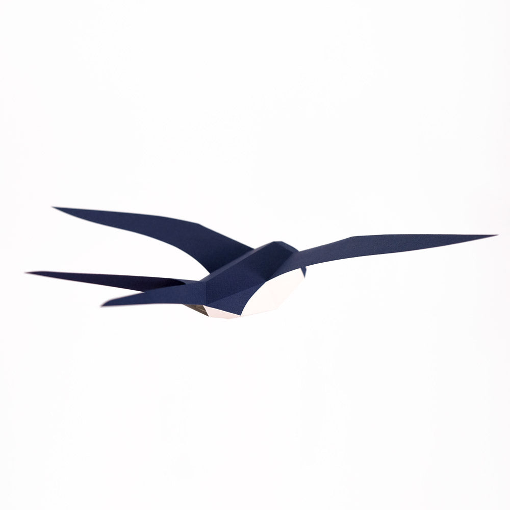 Golondrina