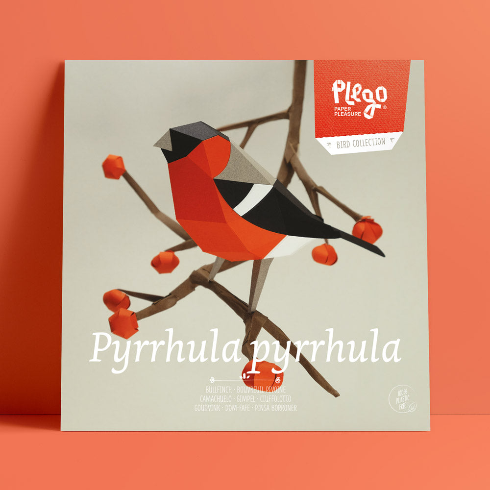 camachuelo