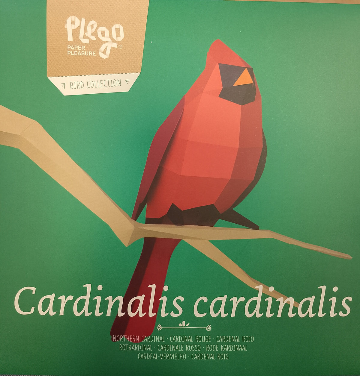 CARDENAL ROJO