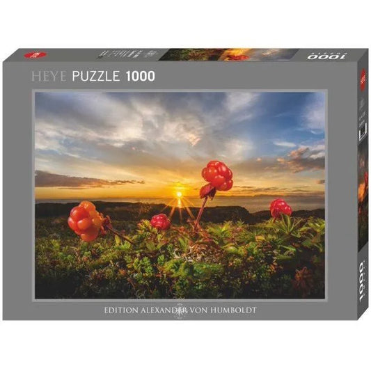 CLOUDBERRIES  1000PZ