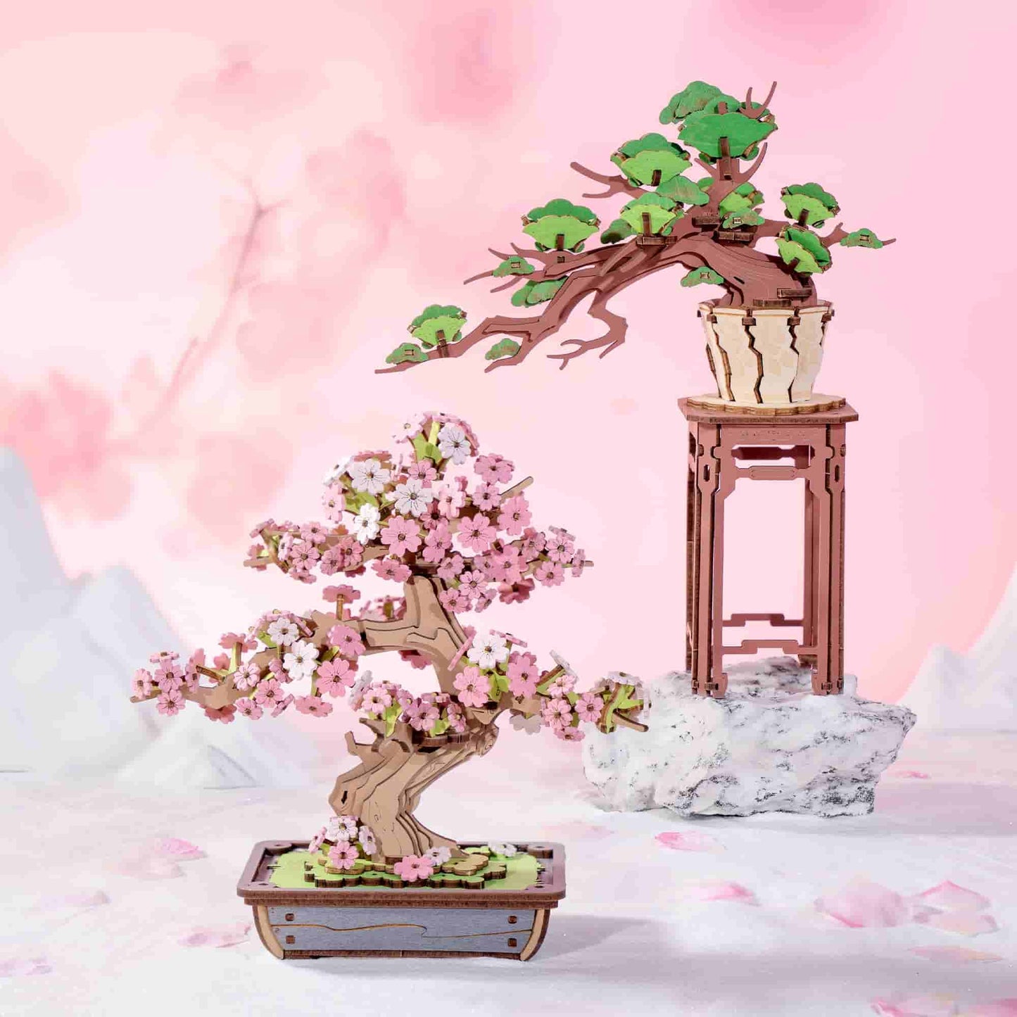 SAKURA BONSAI